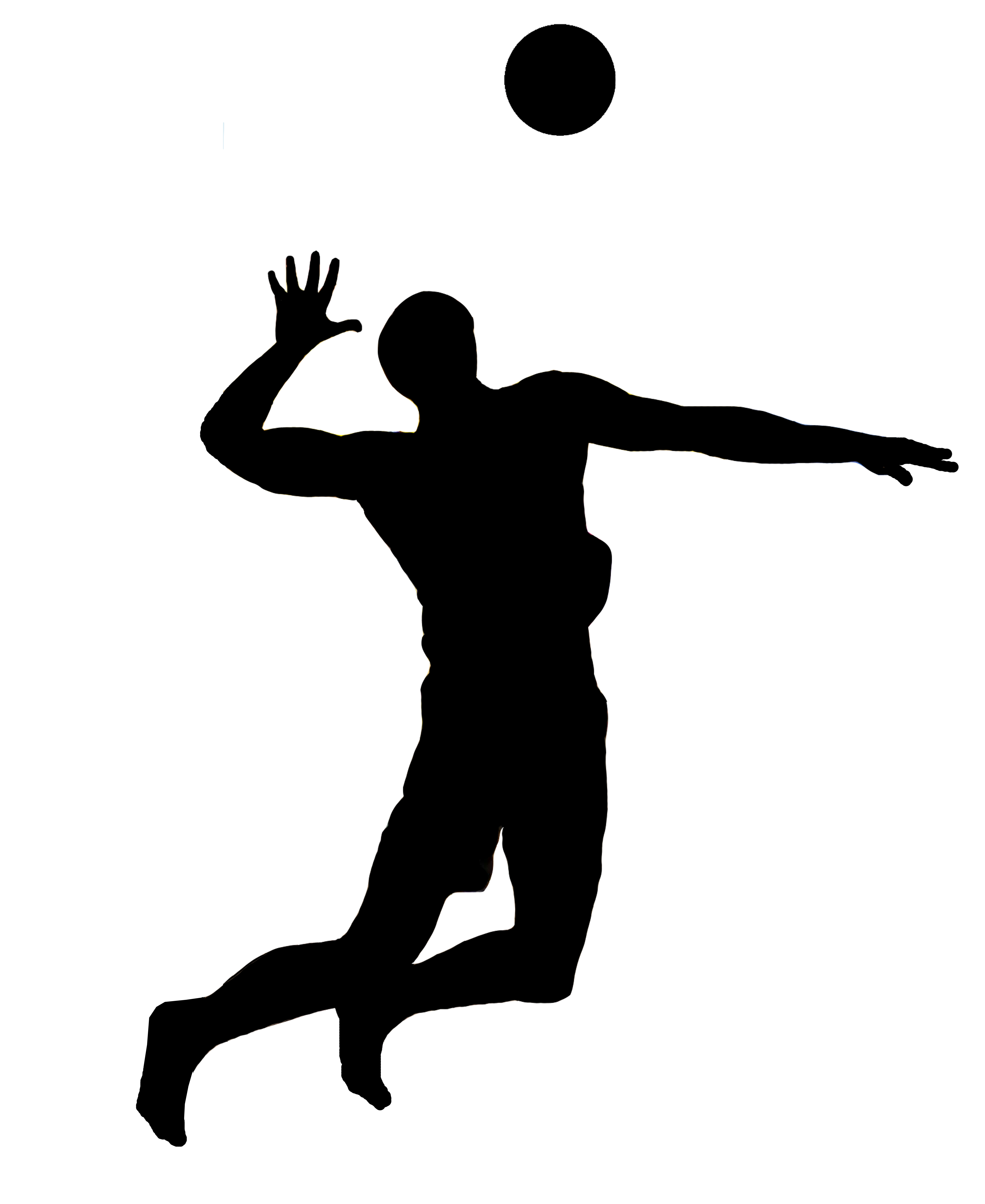 Volleyballer ganz